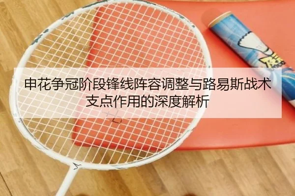 申花争冠阶段锋线阵容调整与路易斯战术支点作用的深度解析