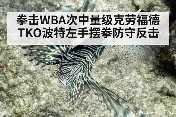 拳击WBA次中量级克劳福德TKO波特左手摆拳防守反击