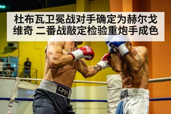 杜布瓦卫冕战对手确定为赫尔戈维奇 二番战敲定检验重炮手成色